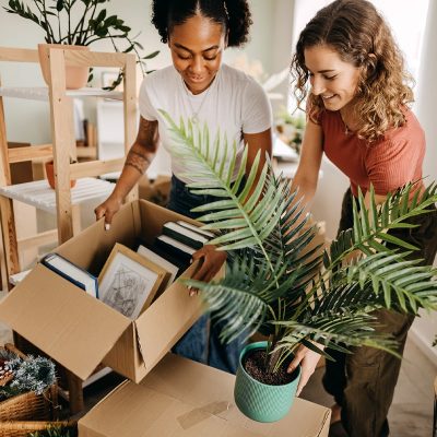 Photo Of Two Woman Arranging Books And Plants